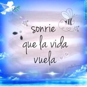 Meet your Posher, Argueta